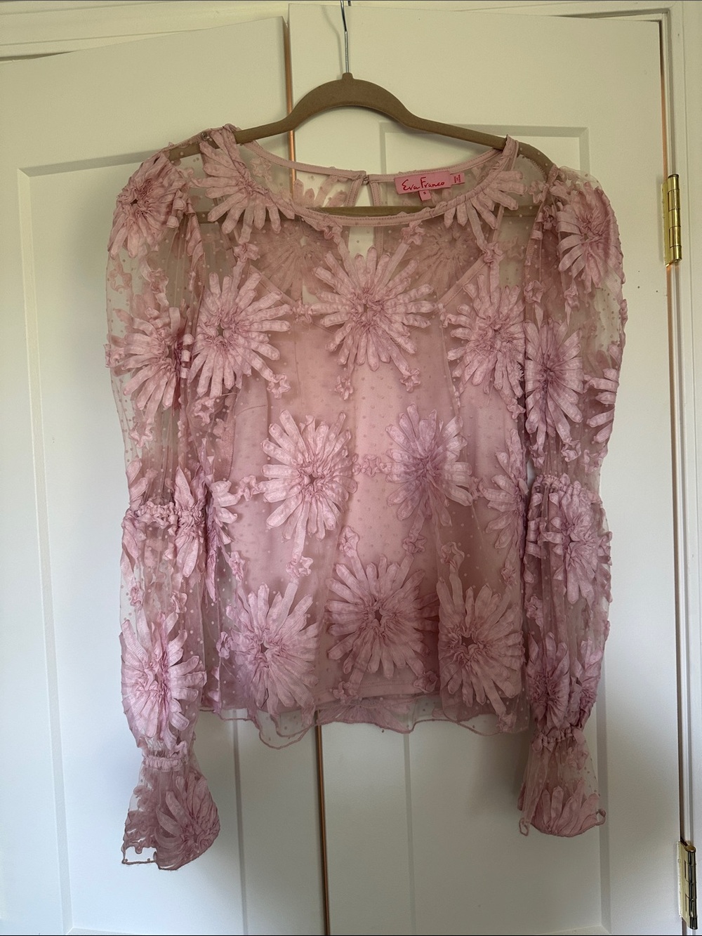 Eva Franco Dusty Pink Floral Appliqué Sheer Blouse